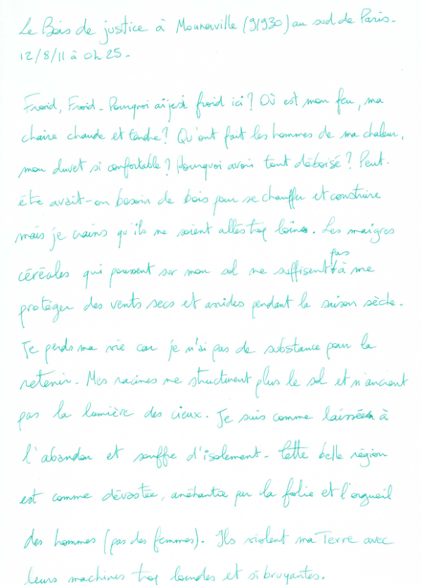 Psychophanie-Le bois de Justice-Monnerville-11-08-11_Page_3 small